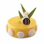Torta gelato tropicale